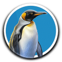 企鹅联合王国/United Penguin Kingdom