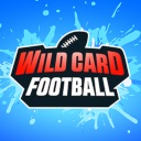 野卡橄榄球/Wild Card Football