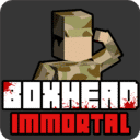 僵尸危机：不朽/BOXHEAD:Immortal